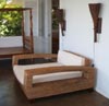 SEAGRASS DAYBED